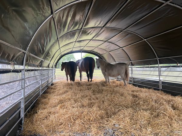 Second Chances Animal Sanctuary