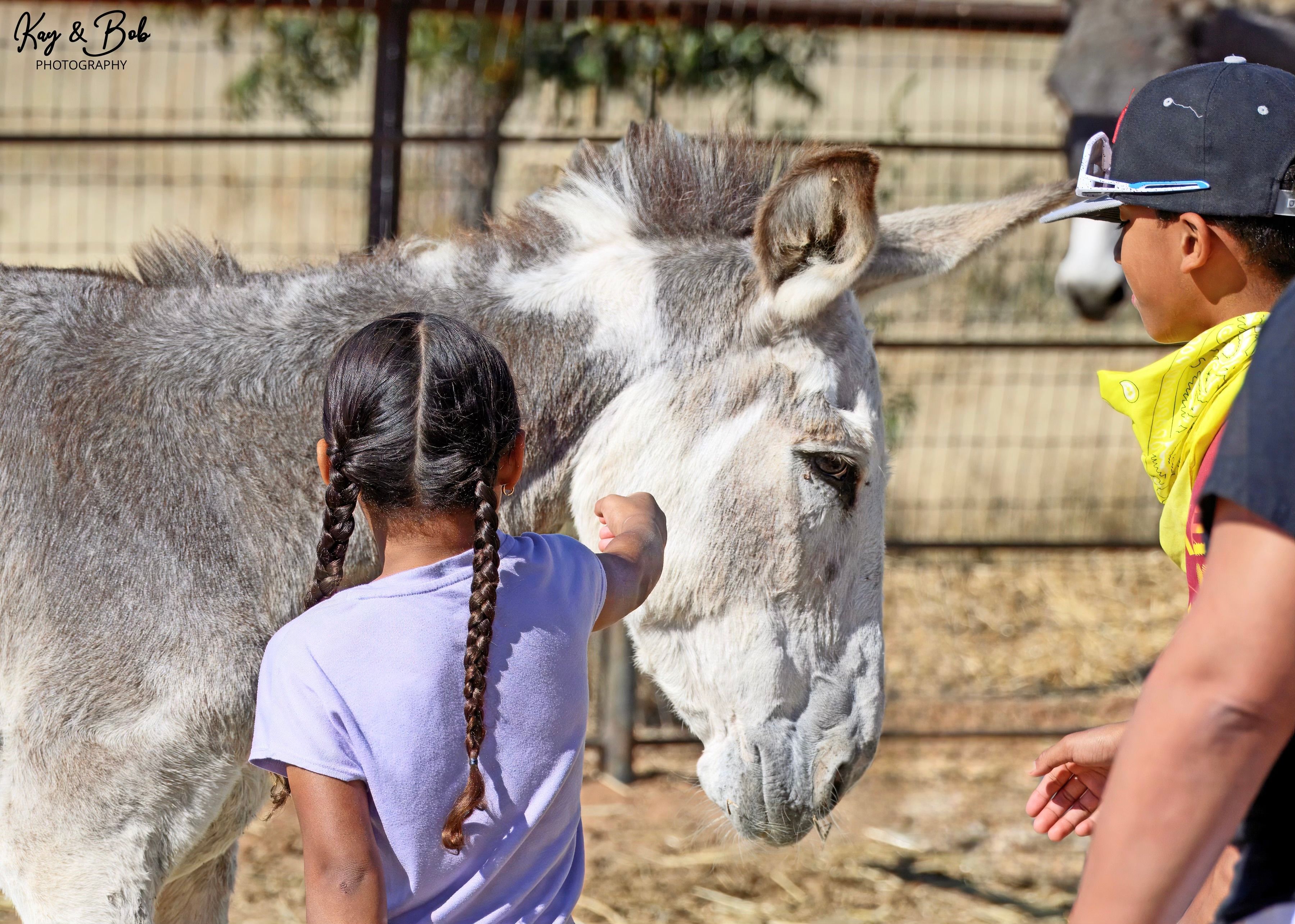 Circle H Haven Foundation