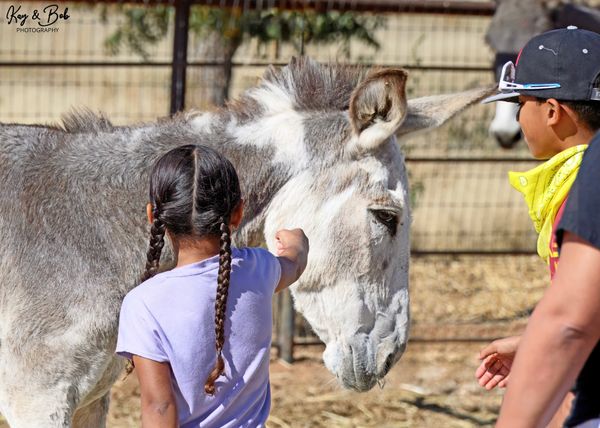 Circle H Haven Foundation