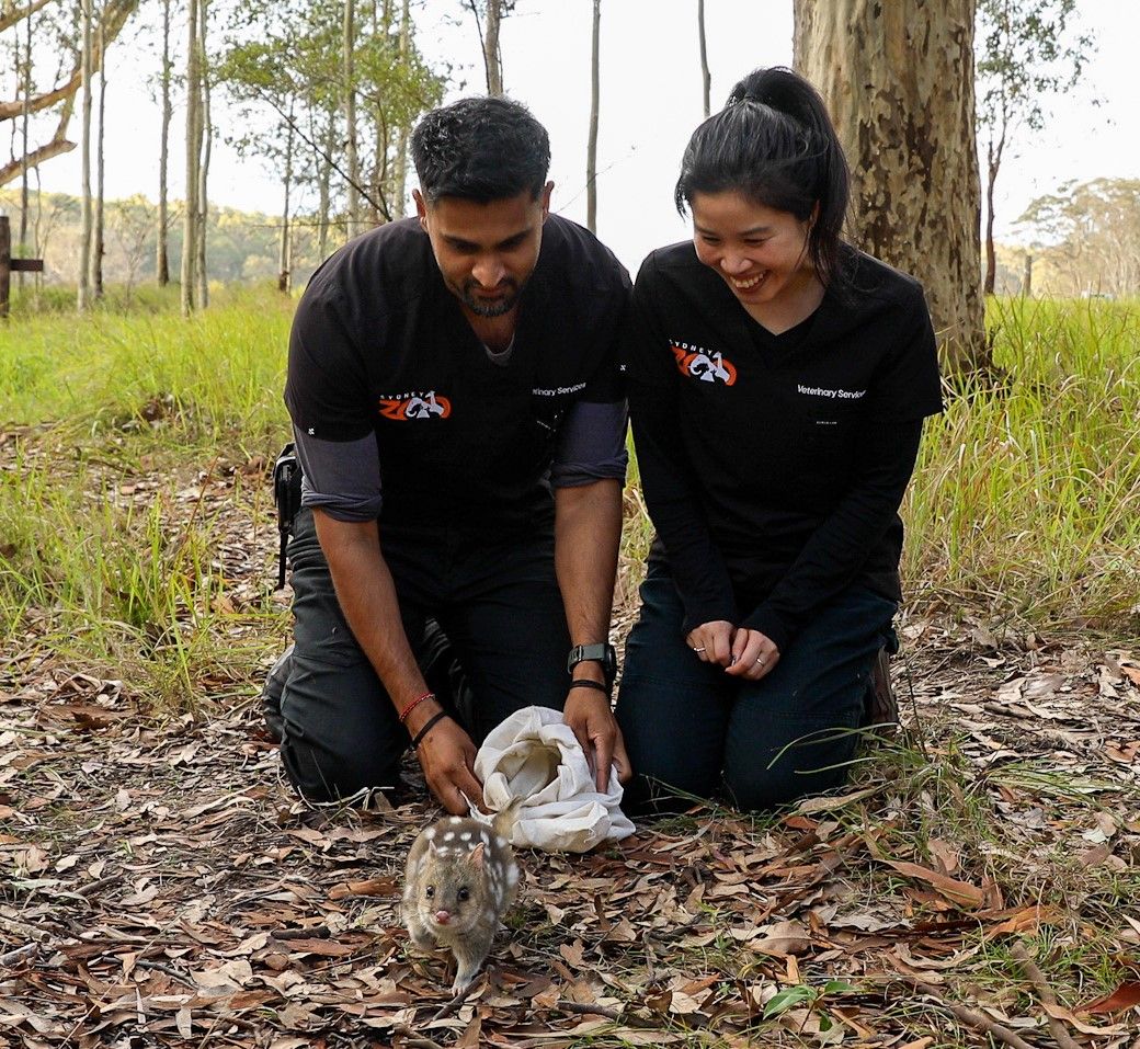 Sydney Zoo Foundation