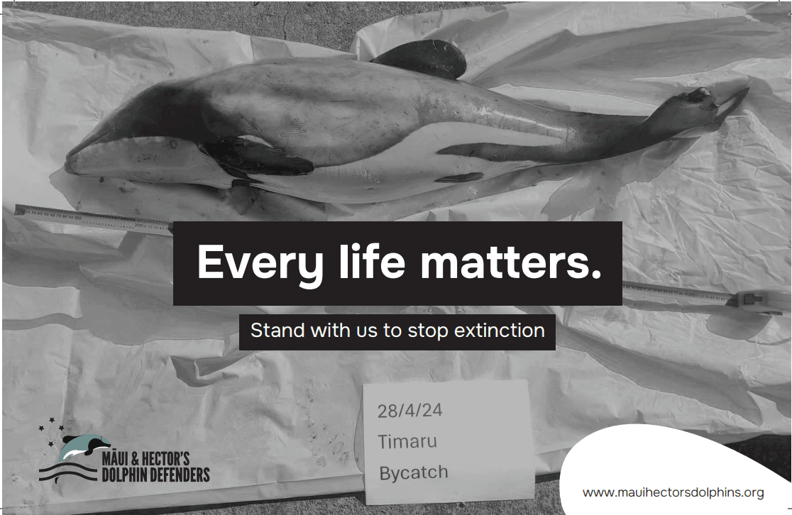 Māui and Hector's Dolphin Defenders