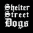 Shelter Street Dogs