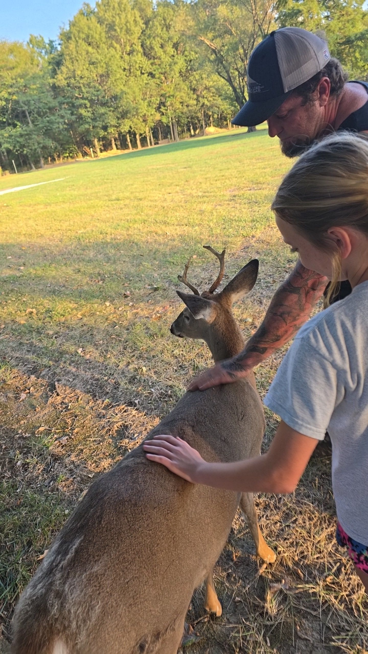 Possum Passel Wildlife Rehabilitation Center Inc