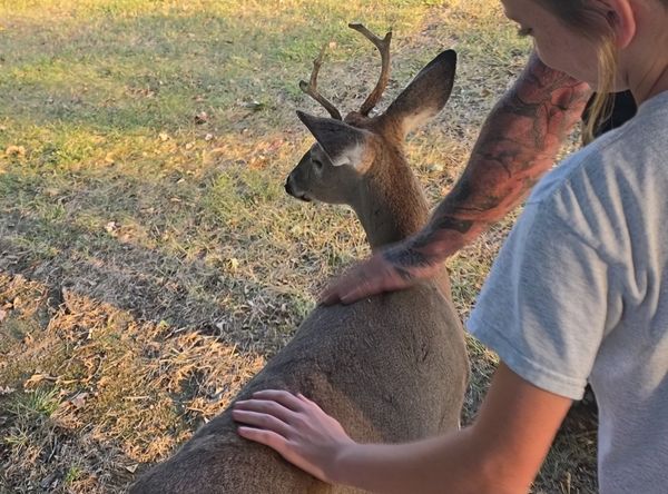 Possum Passel Wildlife Rehabilitation Center Inc
