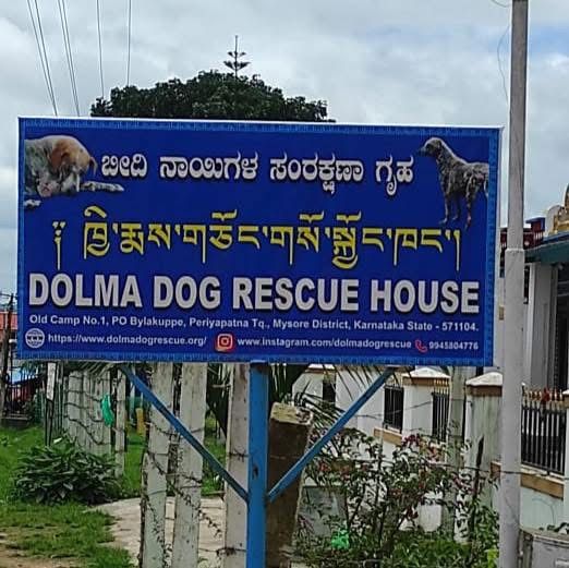 Dolma Animal Trust