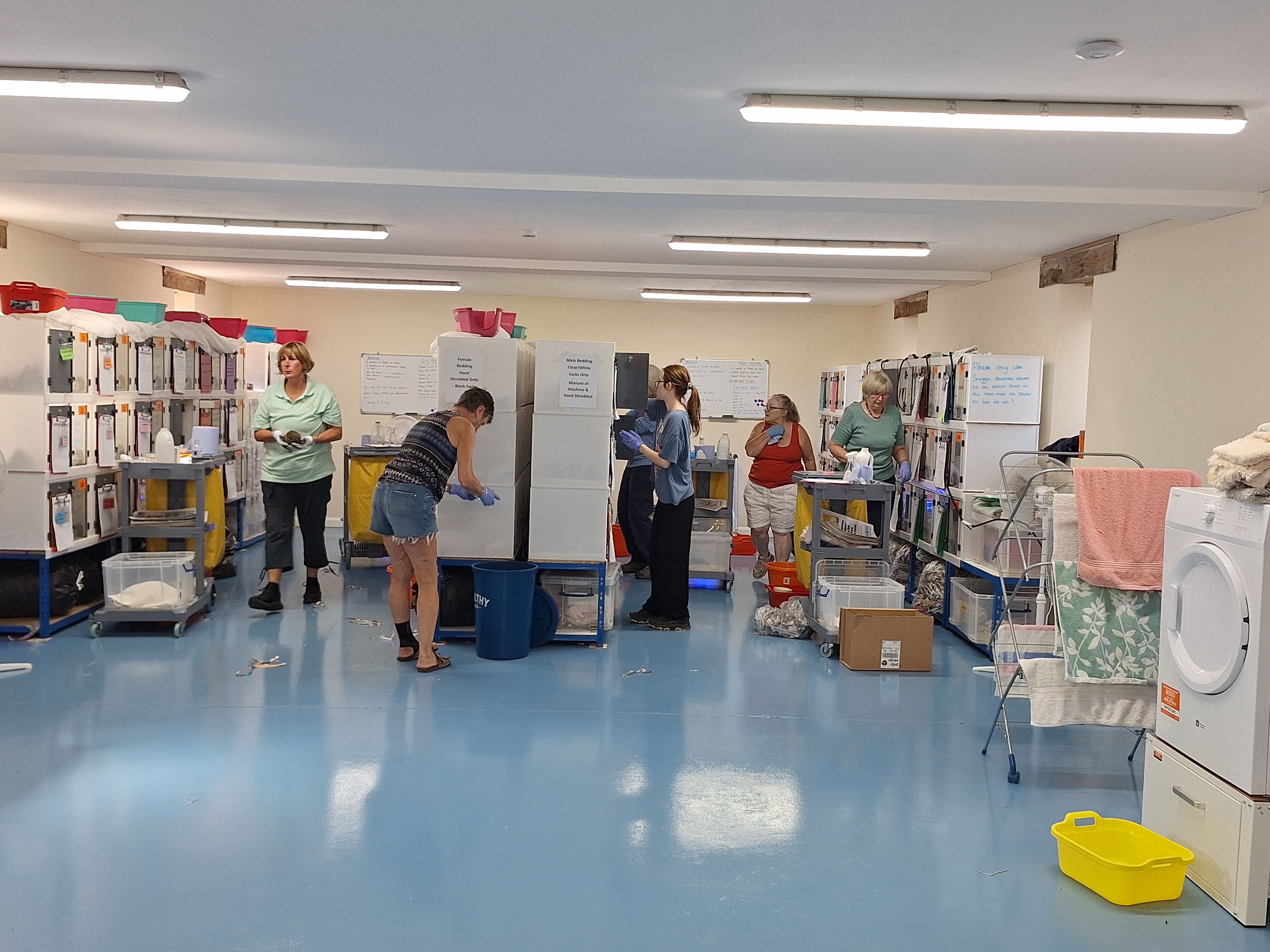 Dorset Hedgehog Rescue