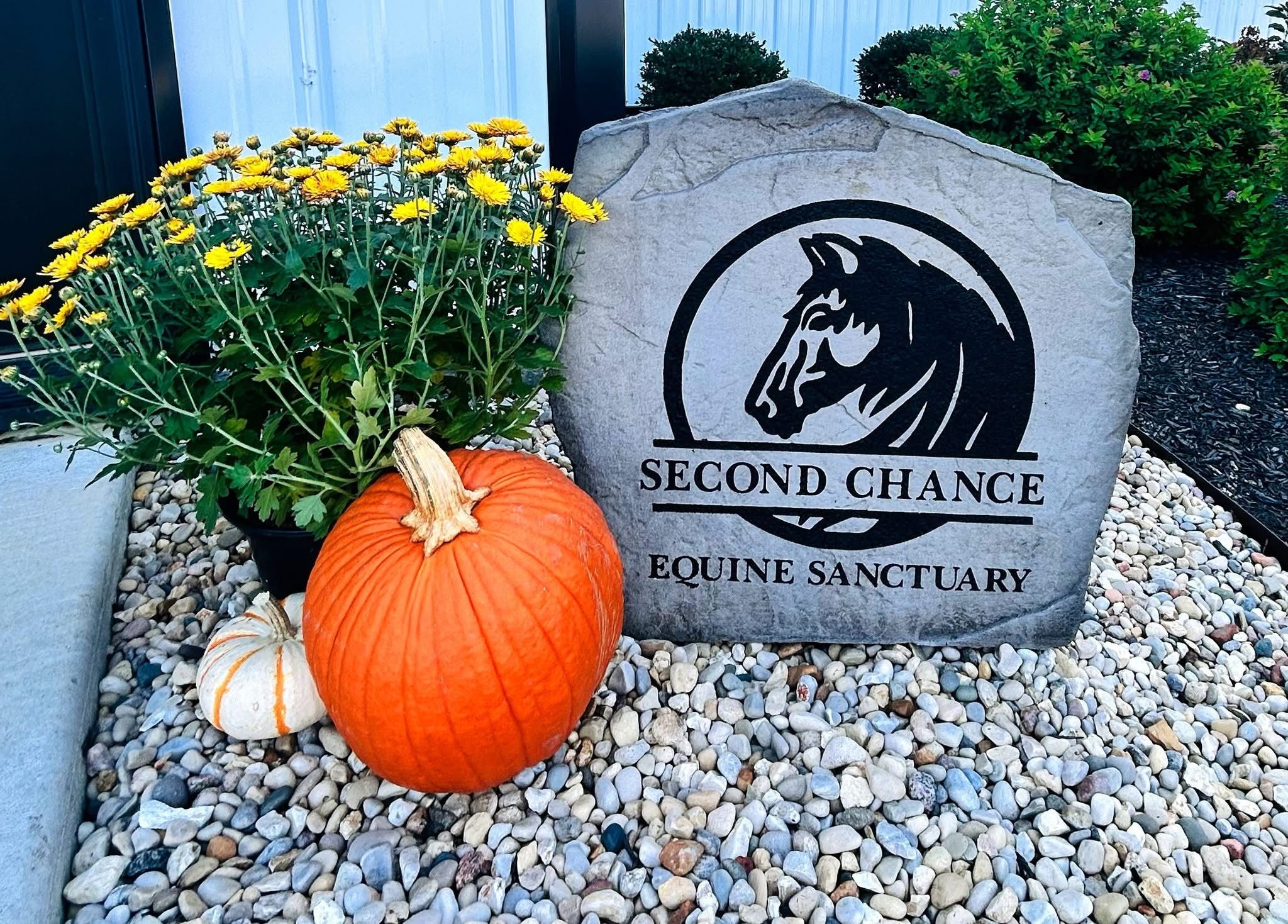 Second Chance Equine Sanctuary