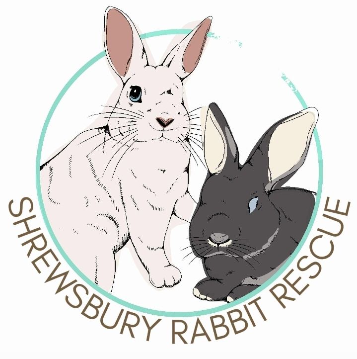 Shrewsbury Rabbit Rescue