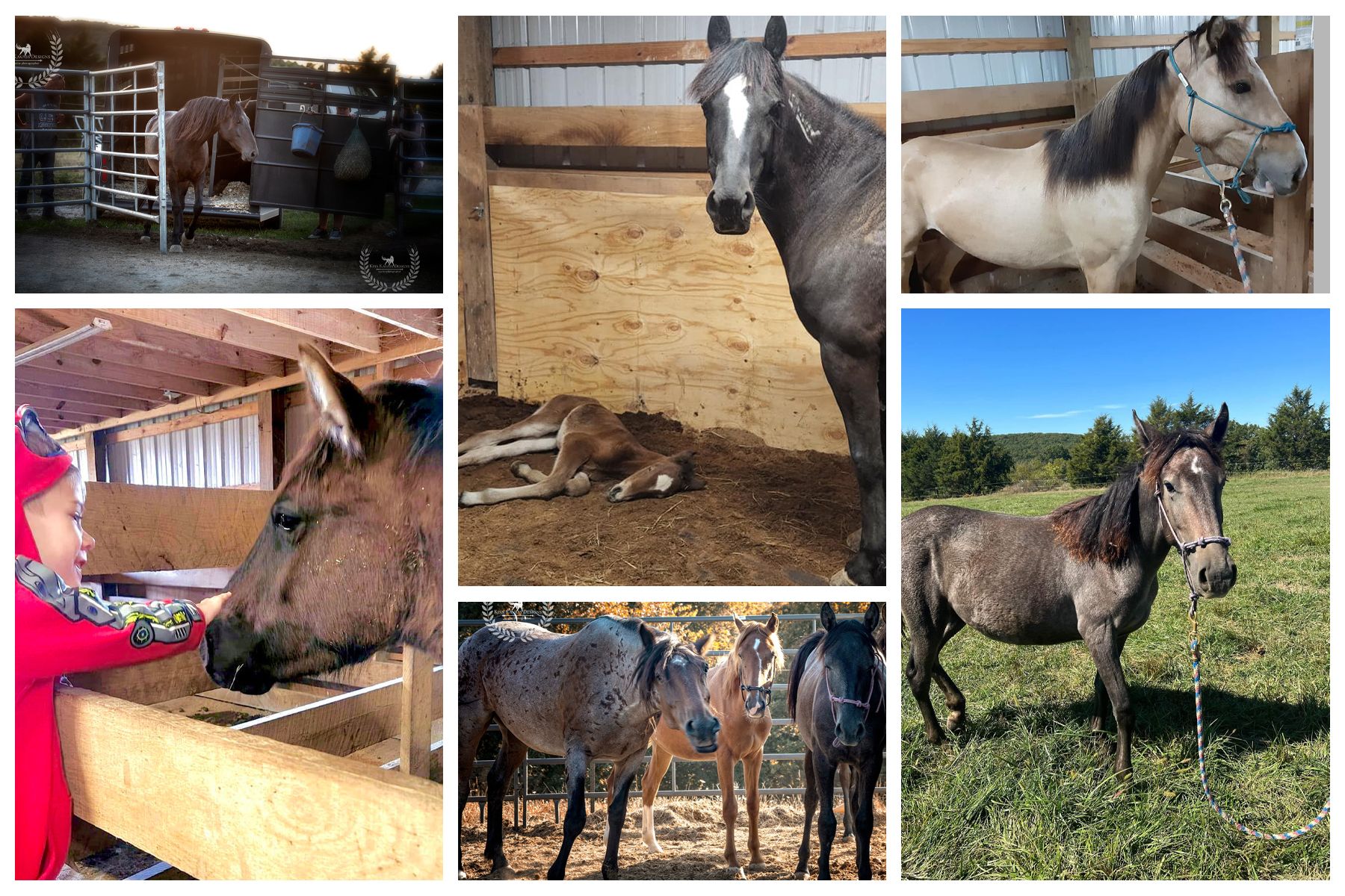 Dreamchaser PMU Rescue