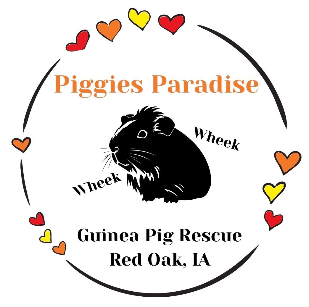 Piggies Paradise