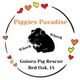 Piggies Paradise