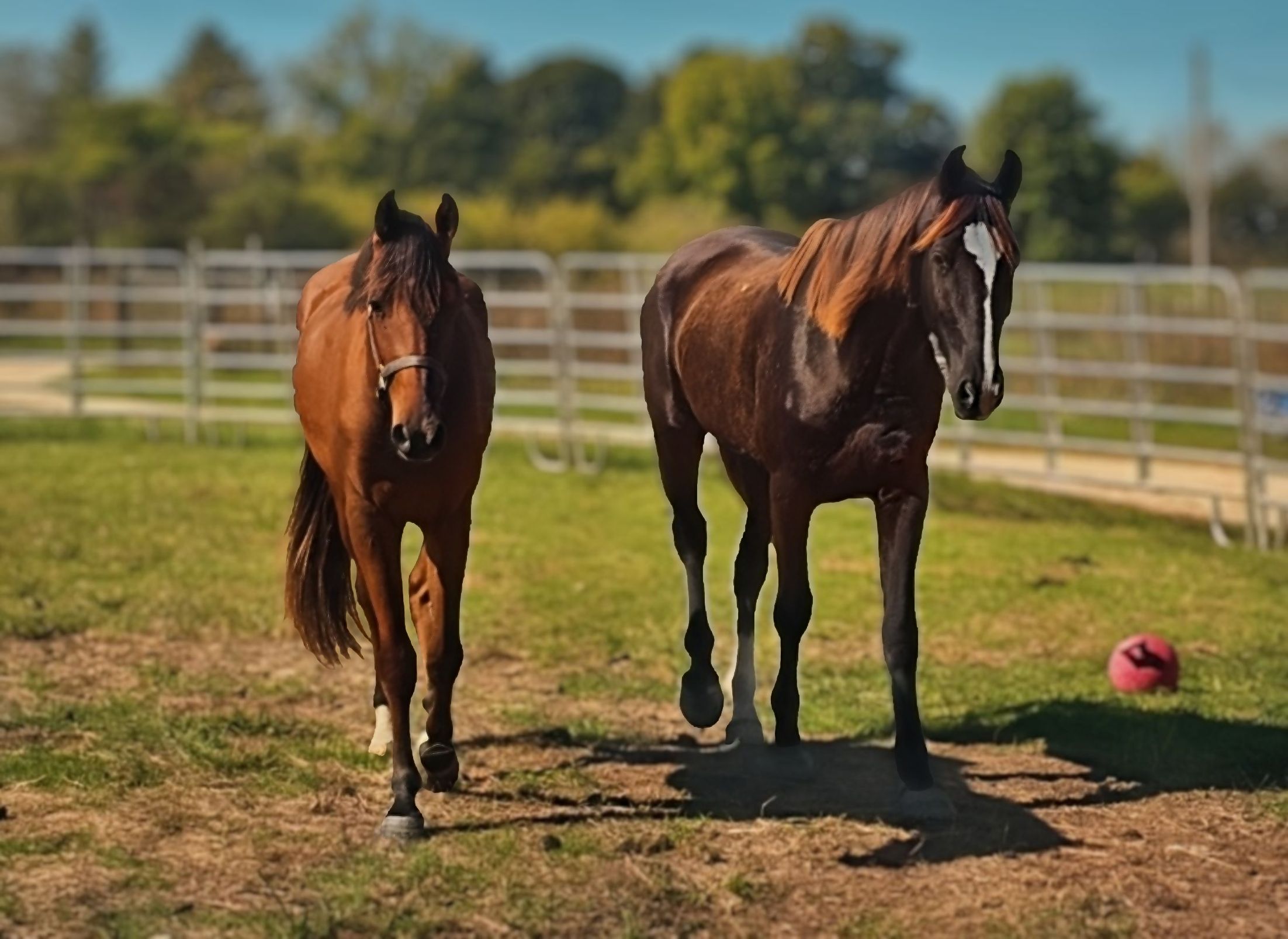 Off Course Rescue & Sanctuary