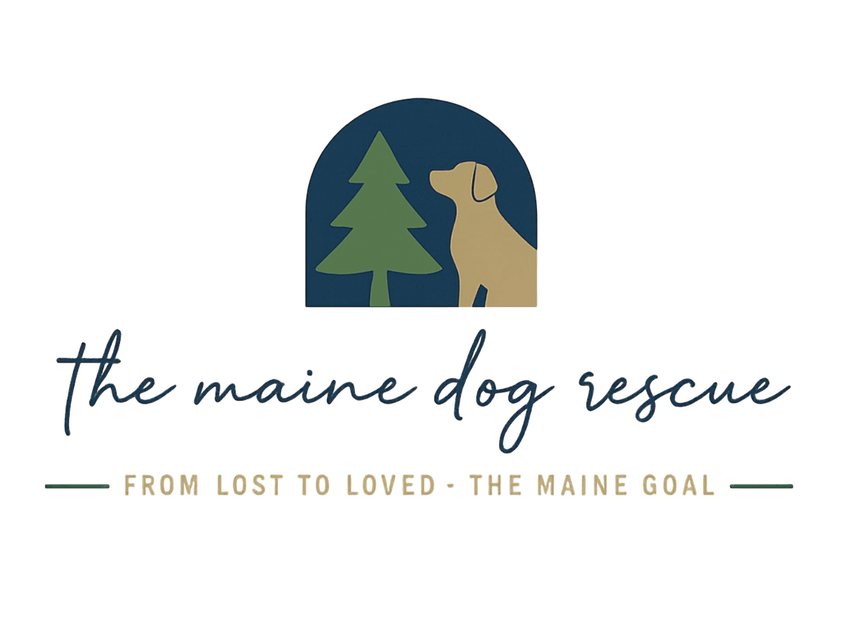 The Maine Dog Rescue