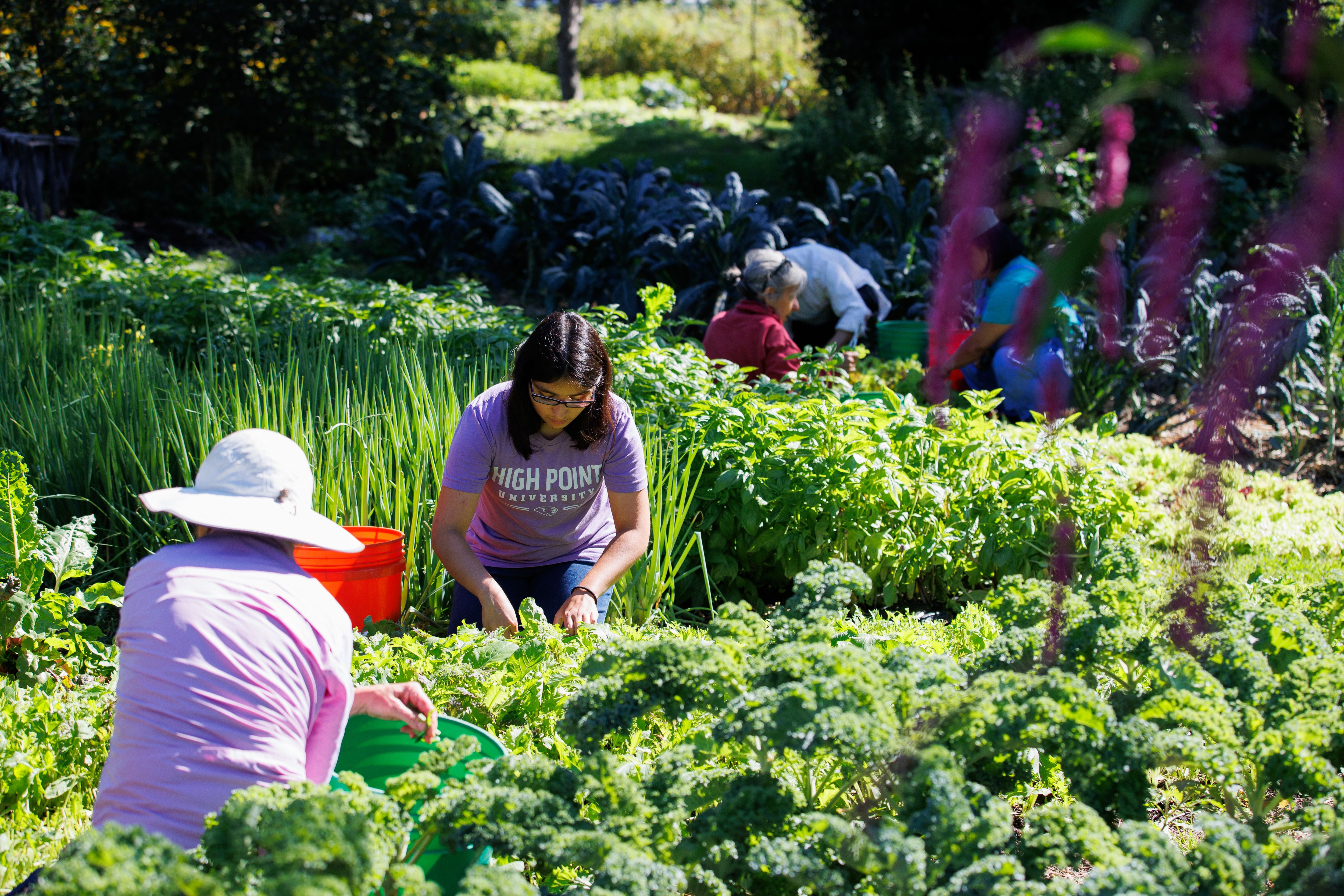 Southside Community Land Trust
