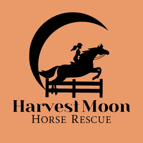 Harvest Moon Horse Ranch and Rescue