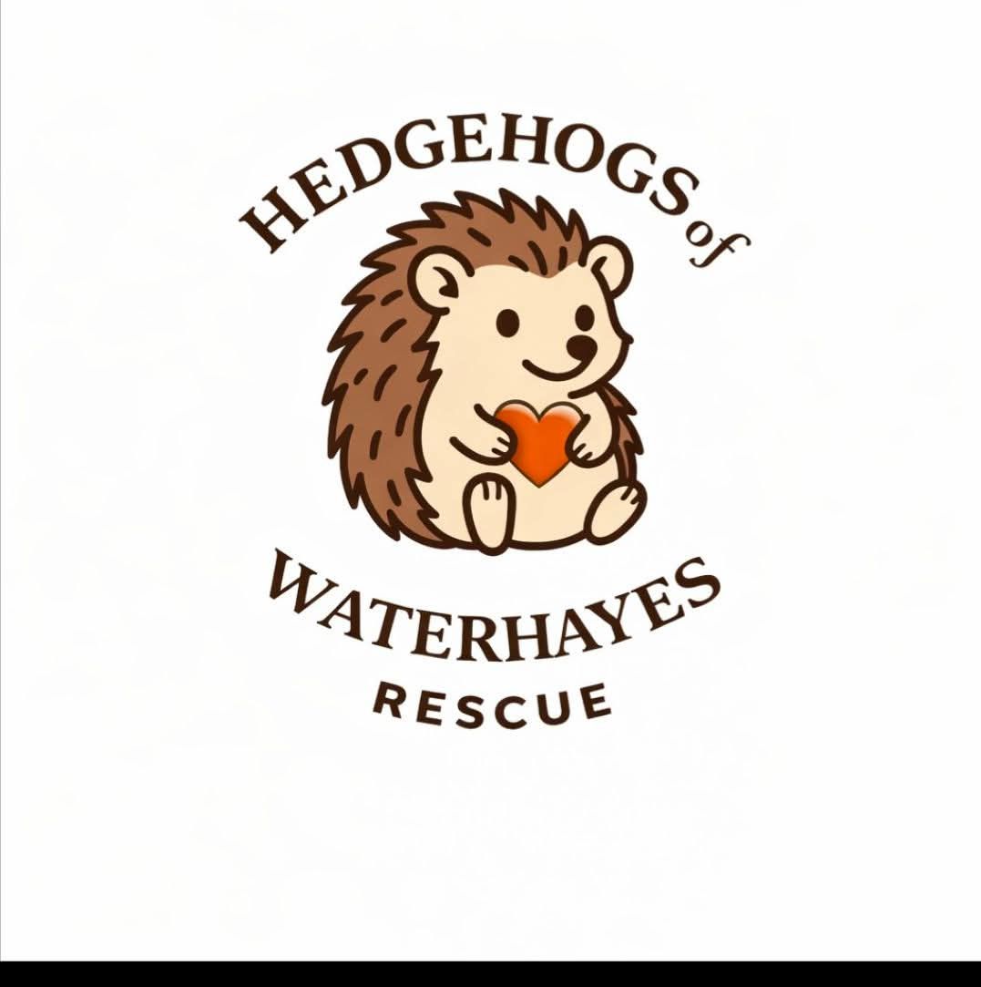 Hedgehogs of Waterhayes