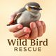 Wild Bird Rescue