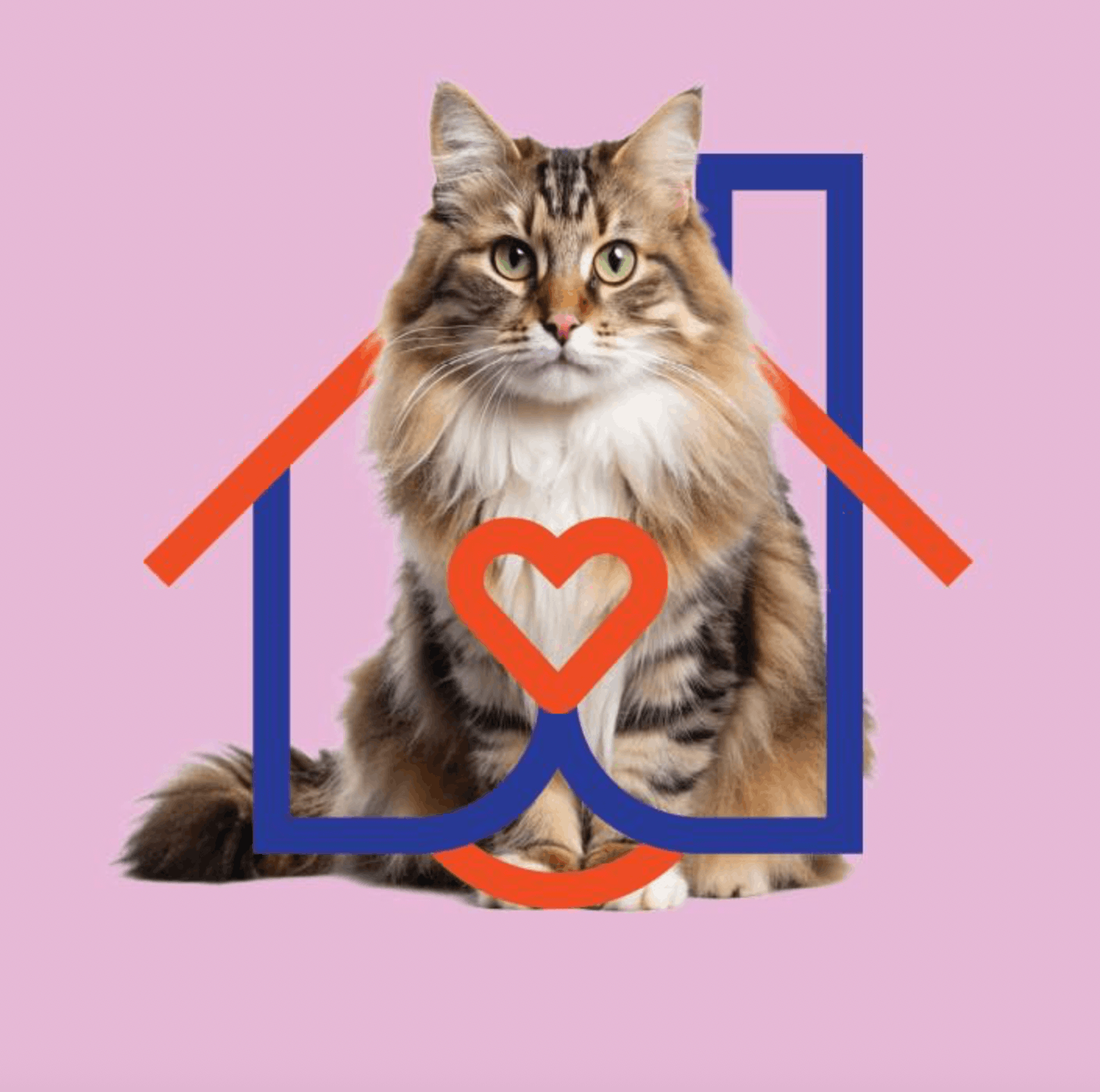 Into Loving Homes Foundation