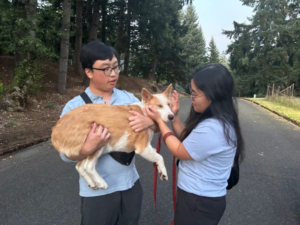 Waggin'Tails Search & Rescue