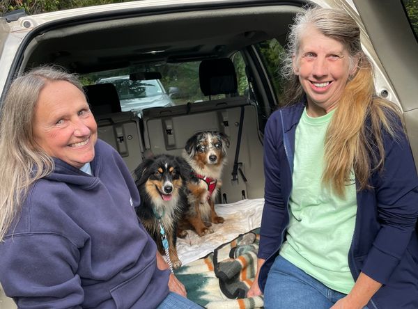 Waggin'Tails Search & Rescue