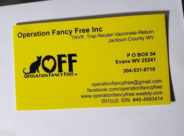 Operation Fancy Free Inc