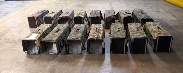 Operation Fancy Free Inc