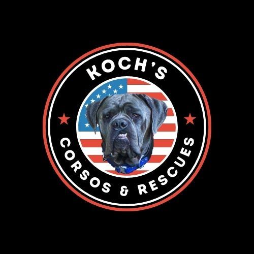 Koch's Corsos and Rescues
