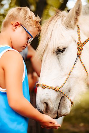 Three Little Burdes Pony Company