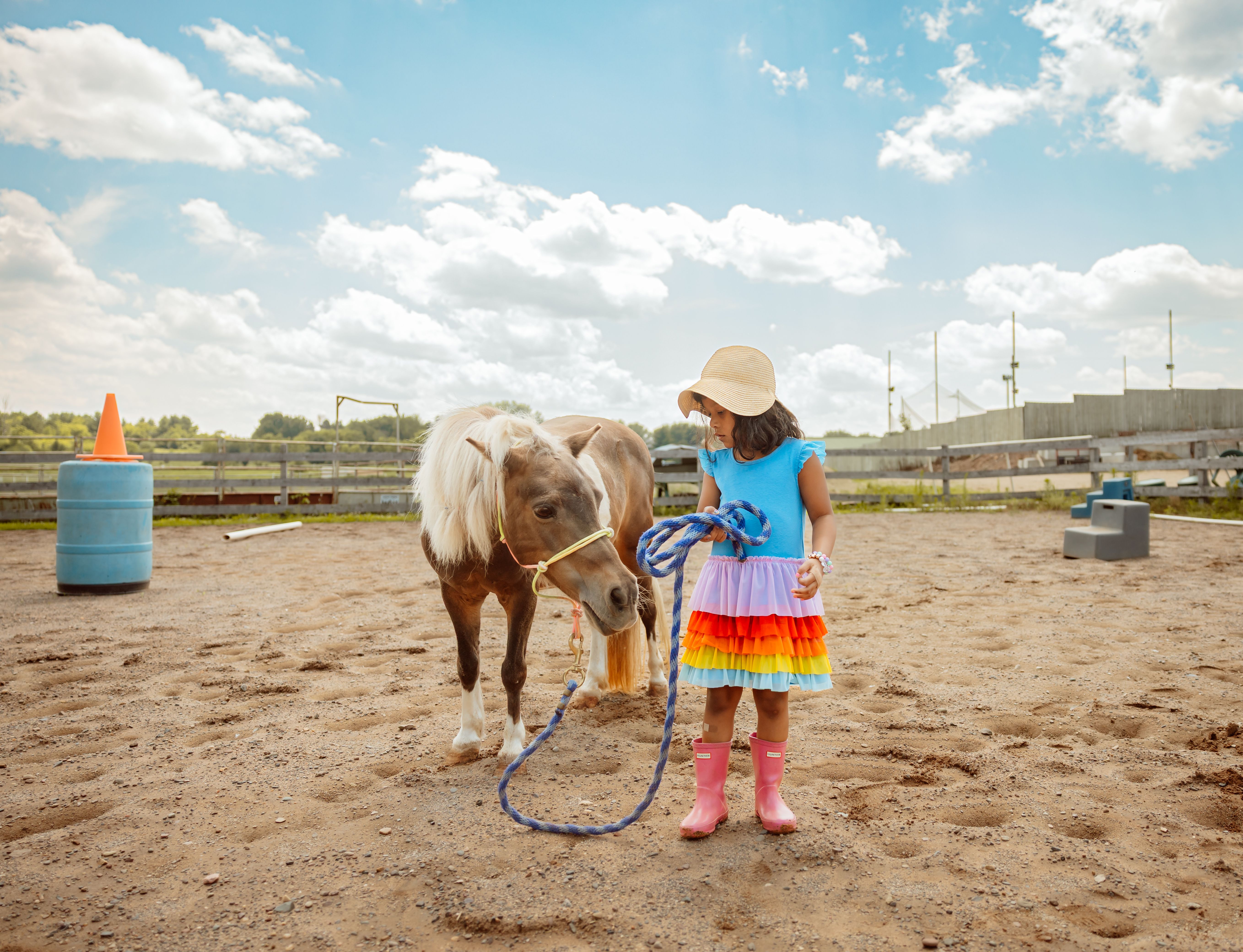 Three Little Burdes Pony Company
