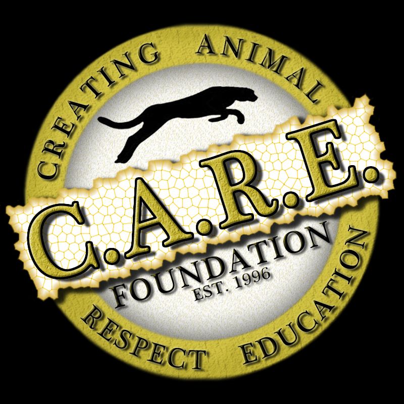 The C.A.R.E. Foundation