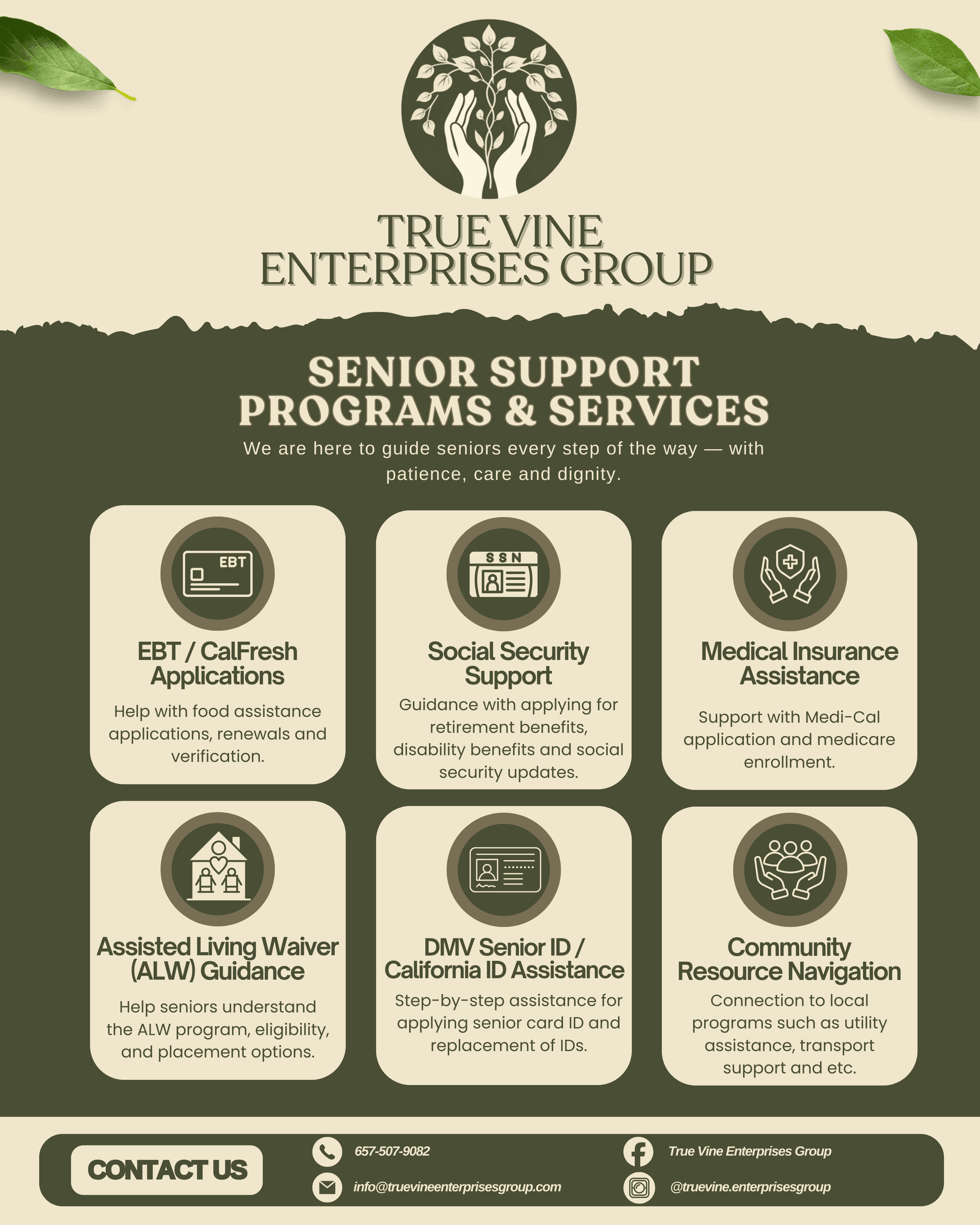 True Vine Enterprises Group Inc