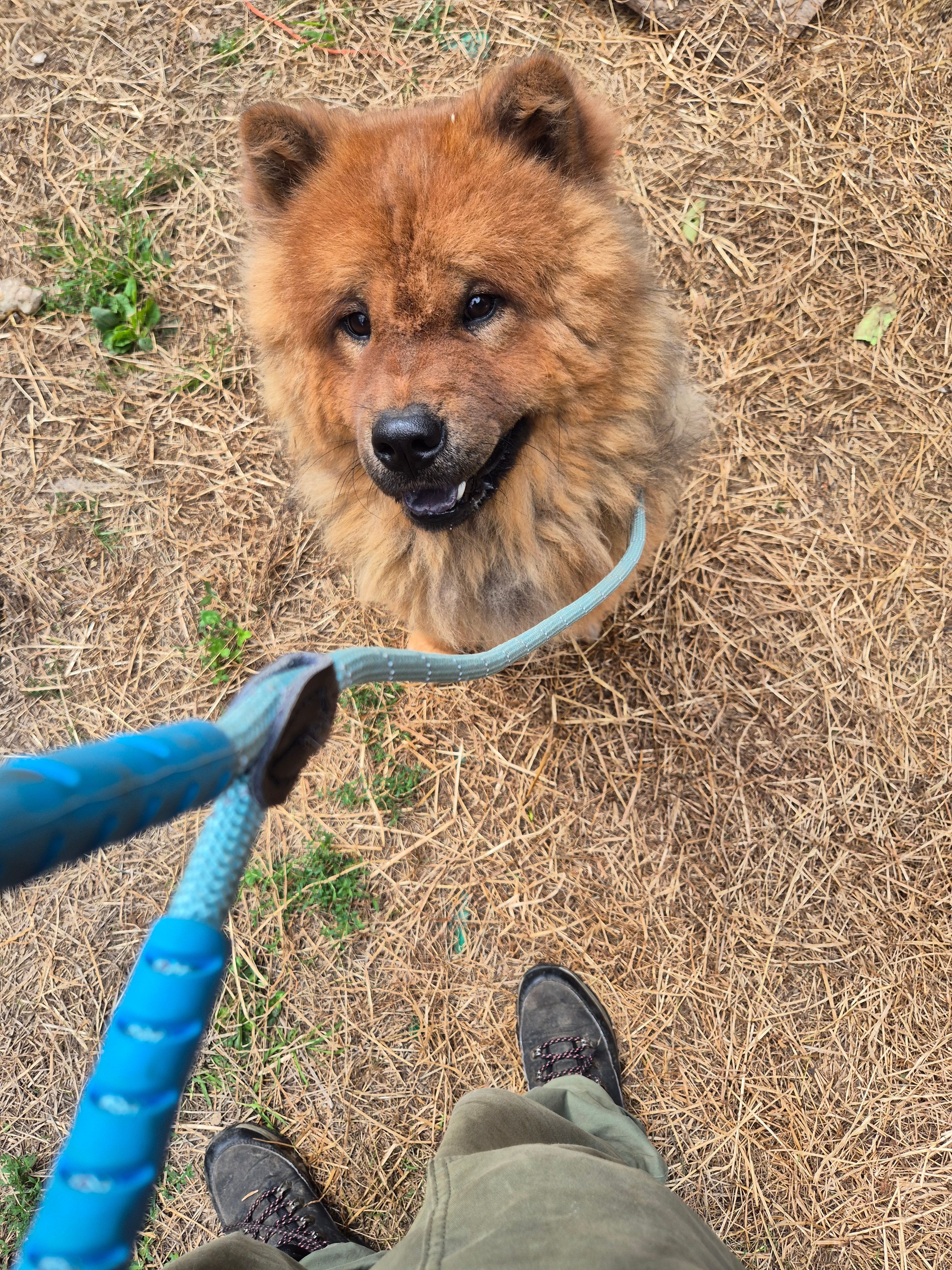 Worldwide Animal Rescue