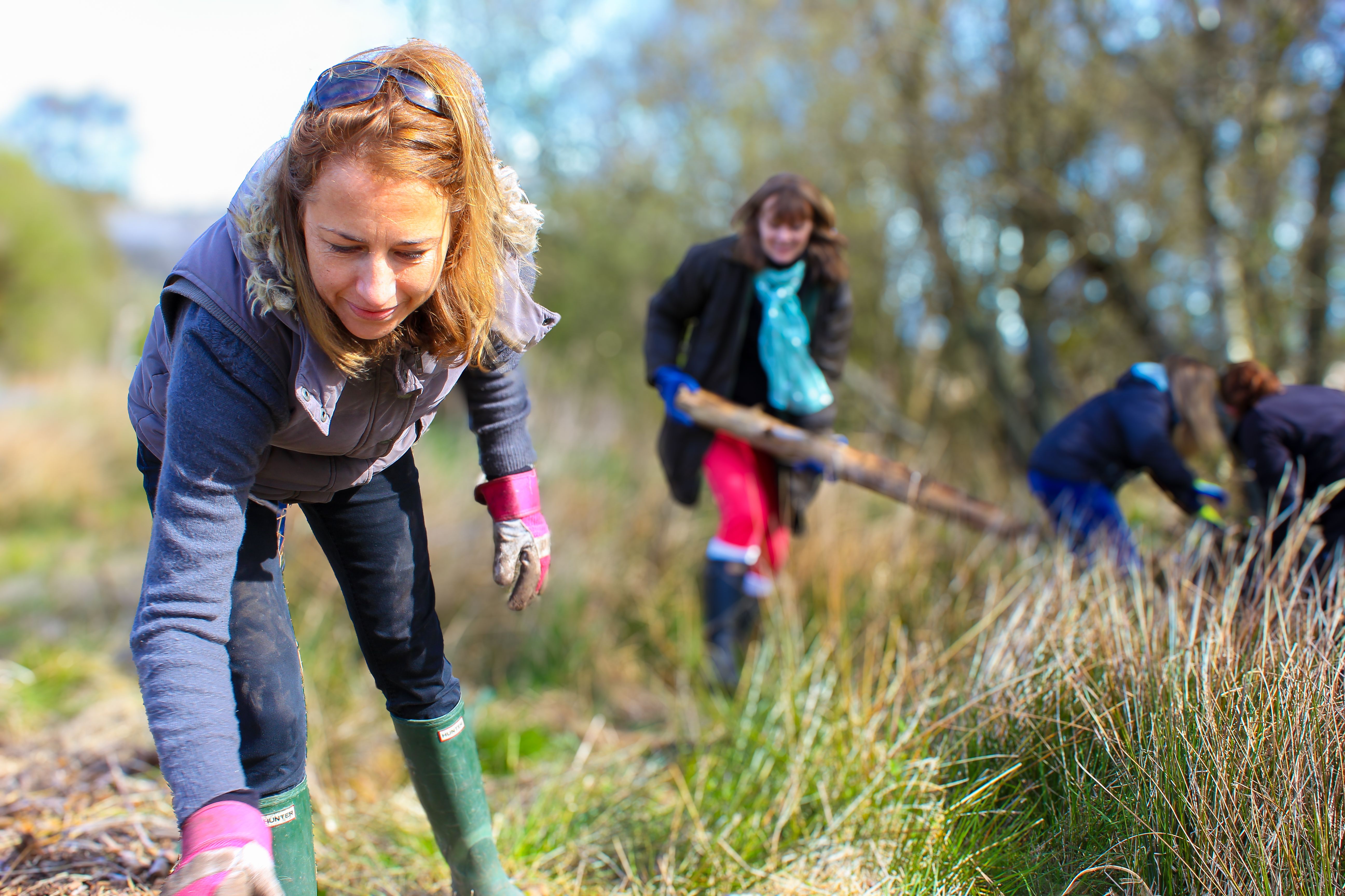 Cumbria Wildlife Trust