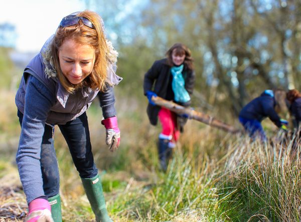 Cumbria Wildlife Trust
