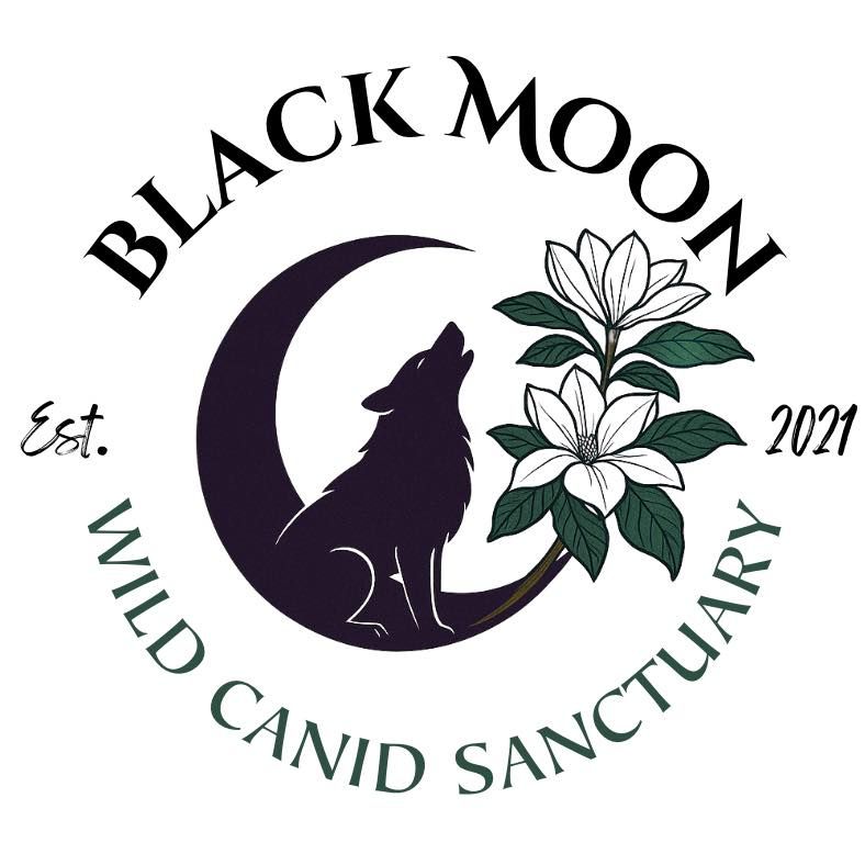 Black Moon Wild Canid Sanctuary