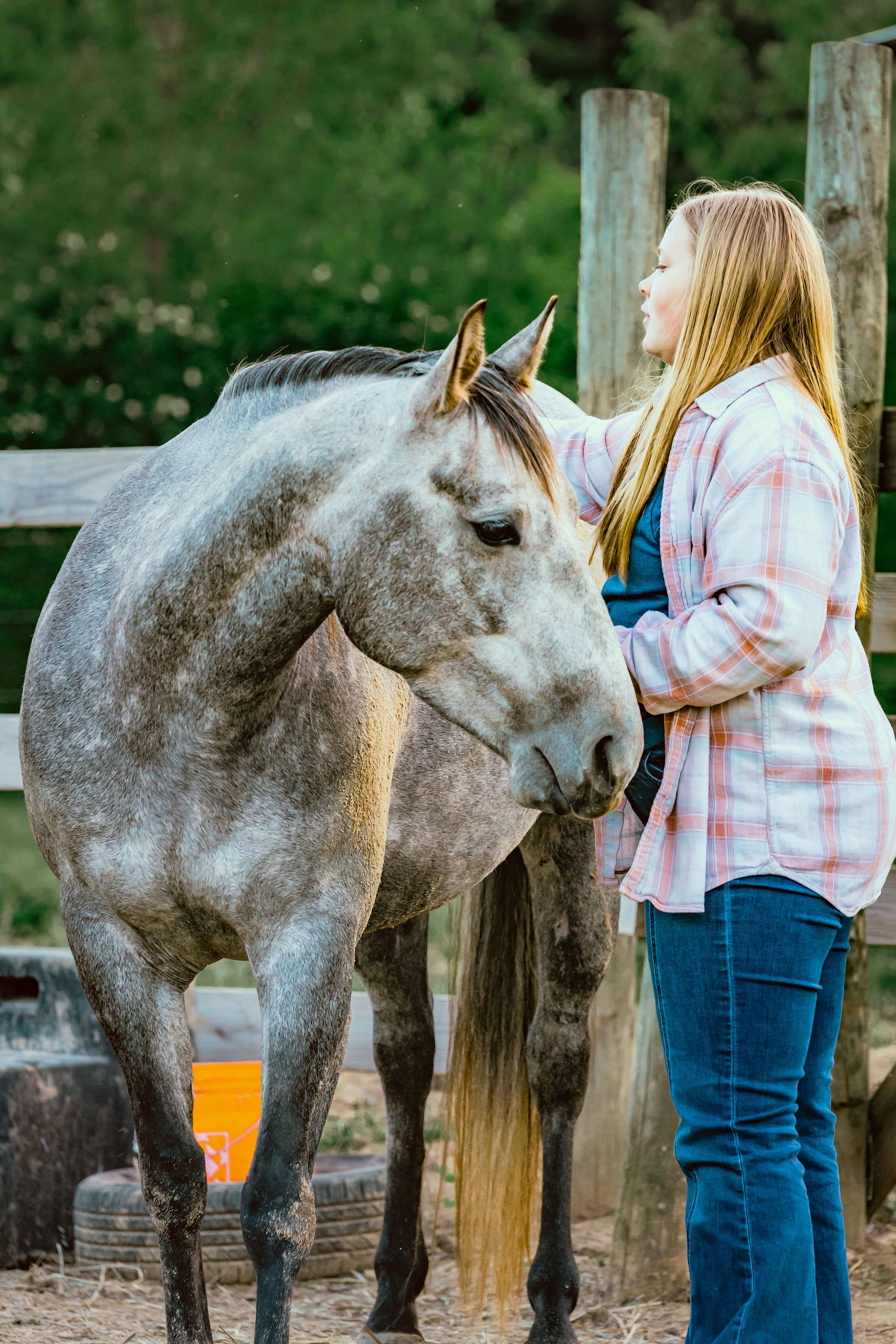Dark Horse Rescue Ranch