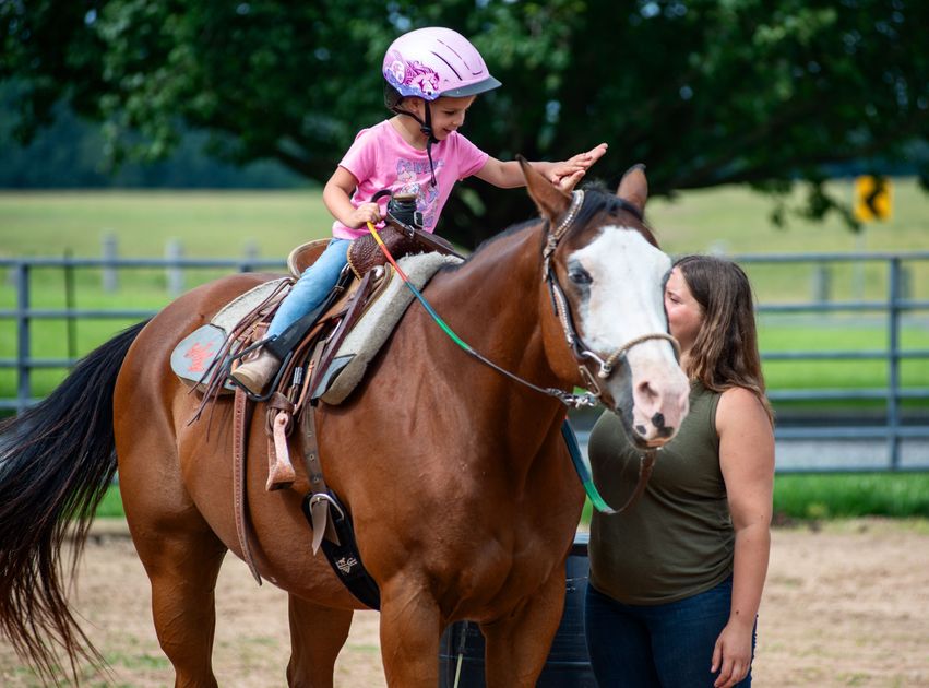 Vote for Dark Horse Rescue Ranch — it's free and helps them share ...