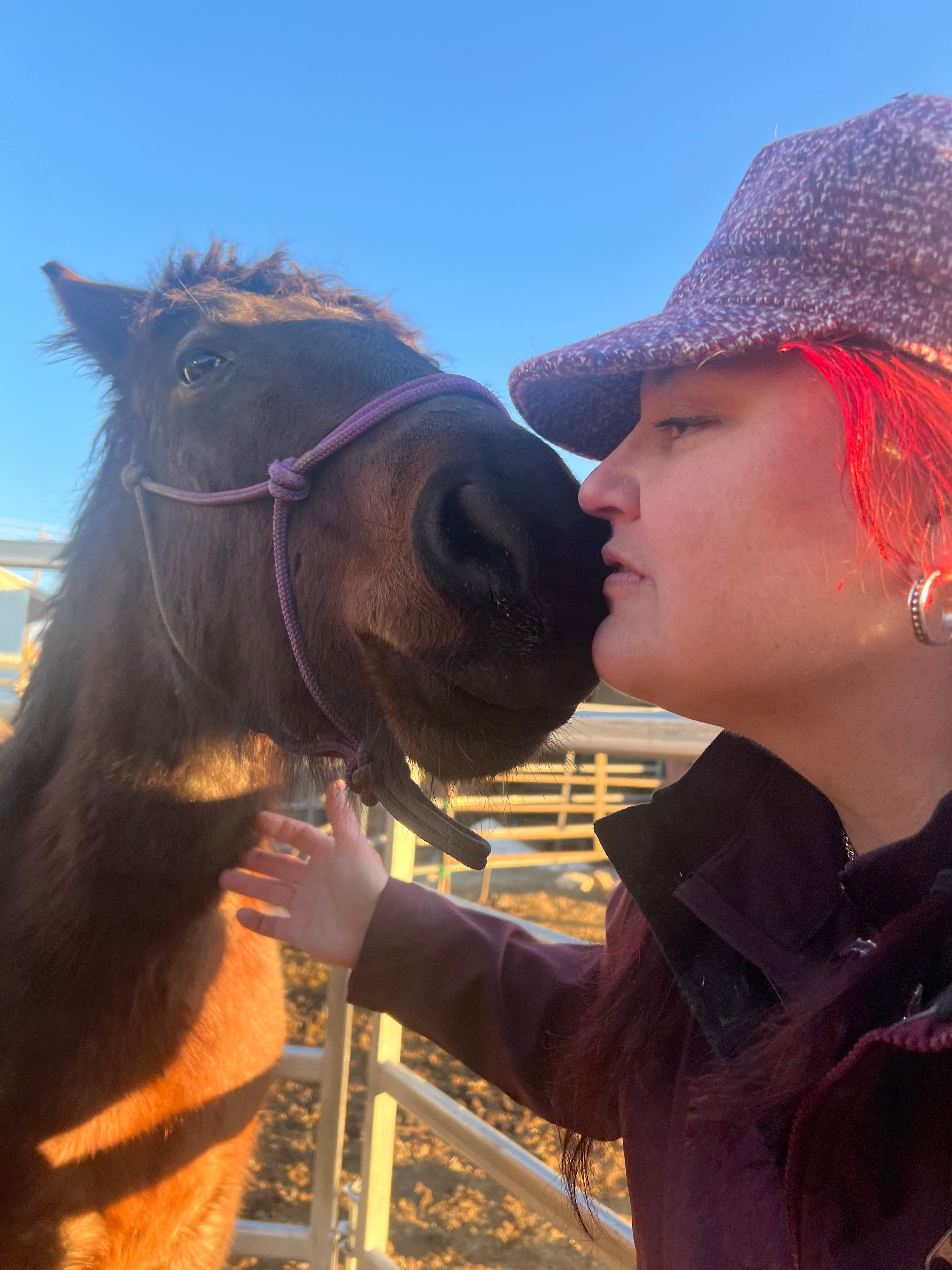 Starlight Mustang Sanctuary