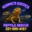 Kosmics exotics corporation