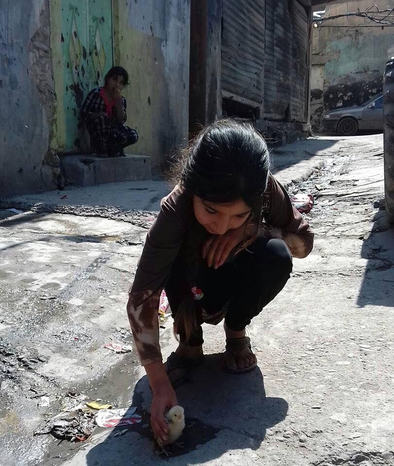 Amalna Kapwa Organisation