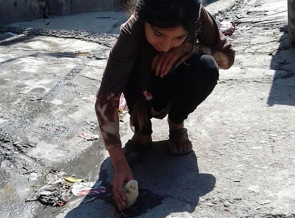 Amalna Kapwa Organisation