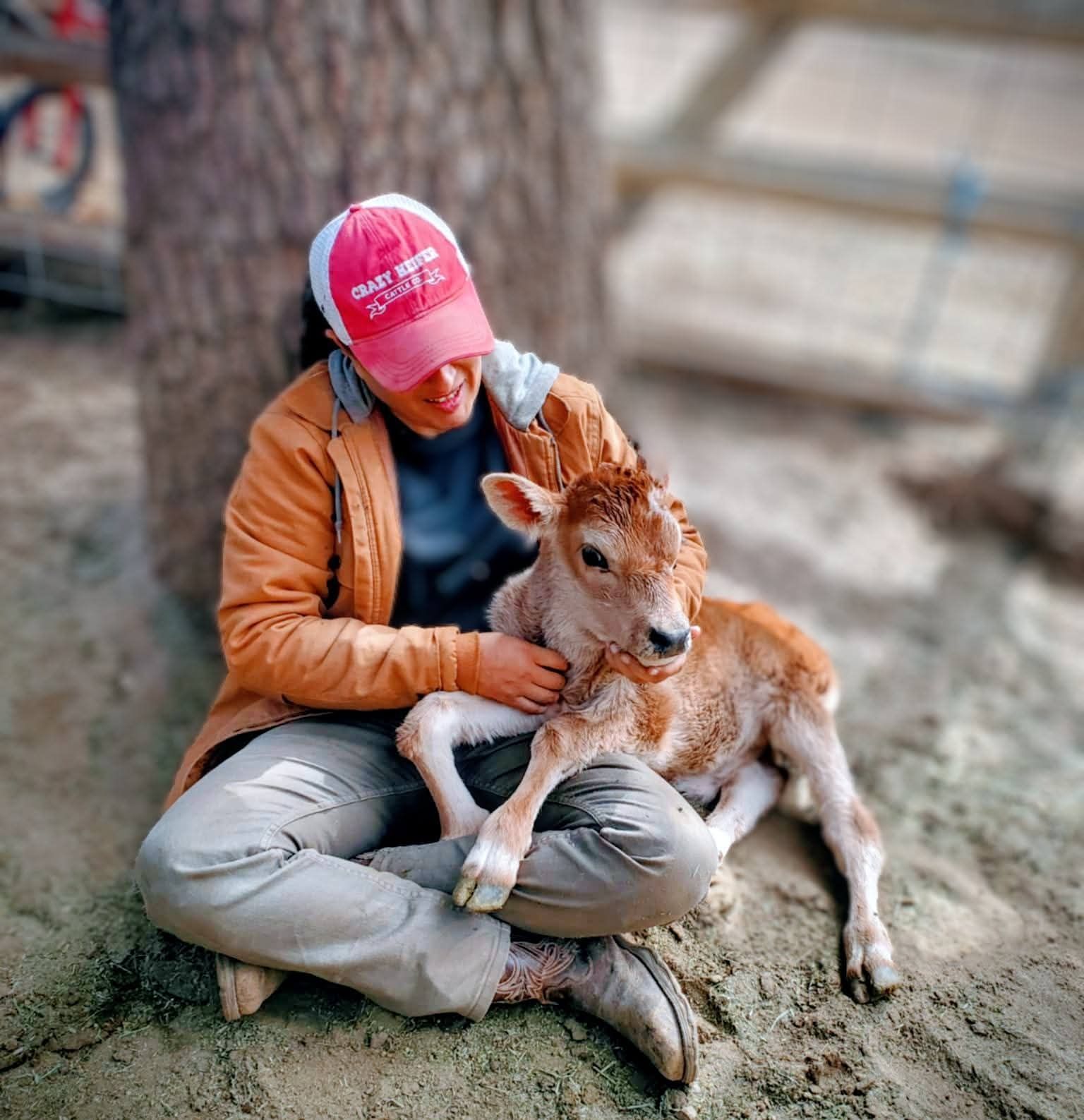 Barites Veteran Ranch