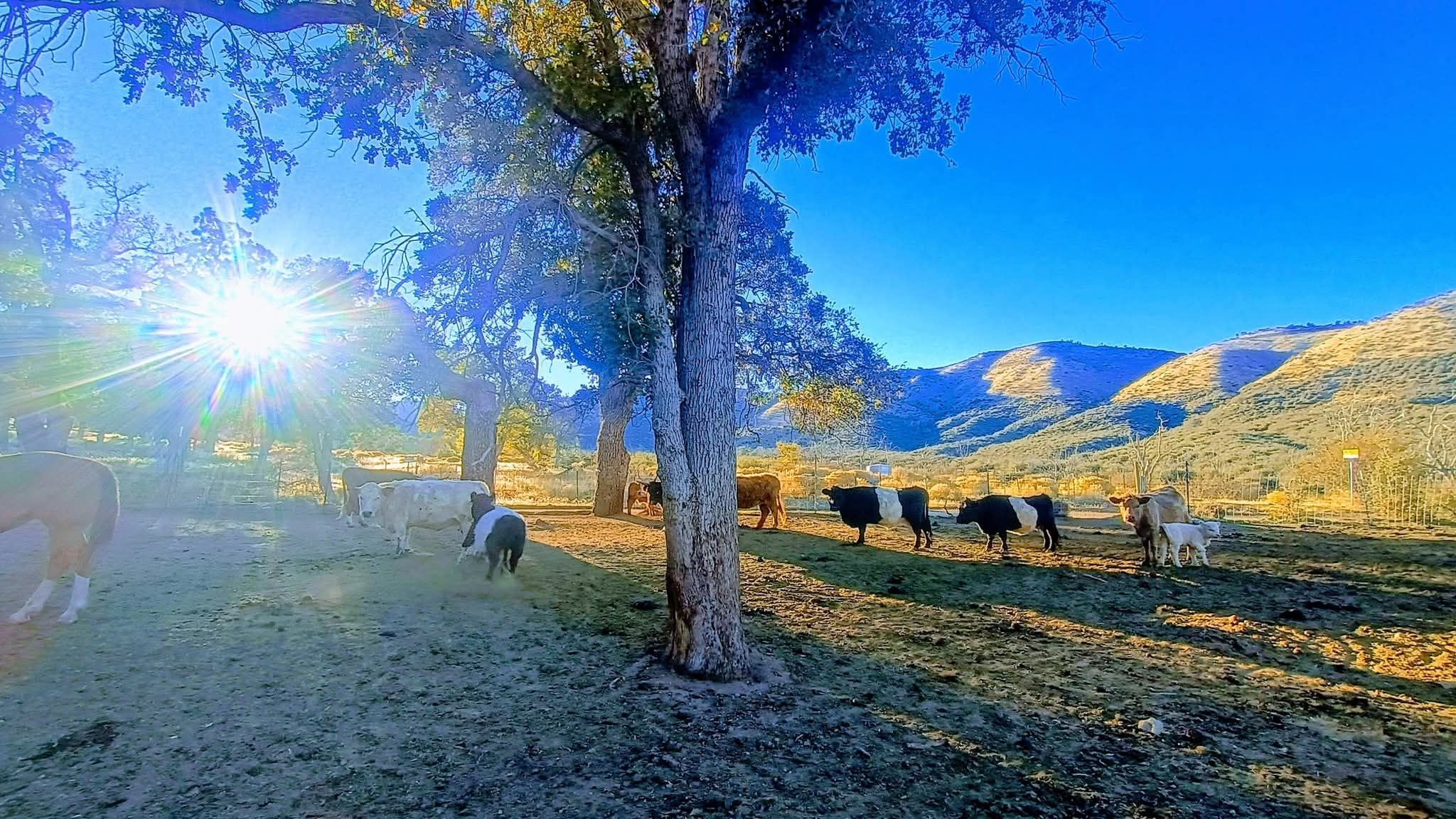 Barites Veteran Ranch