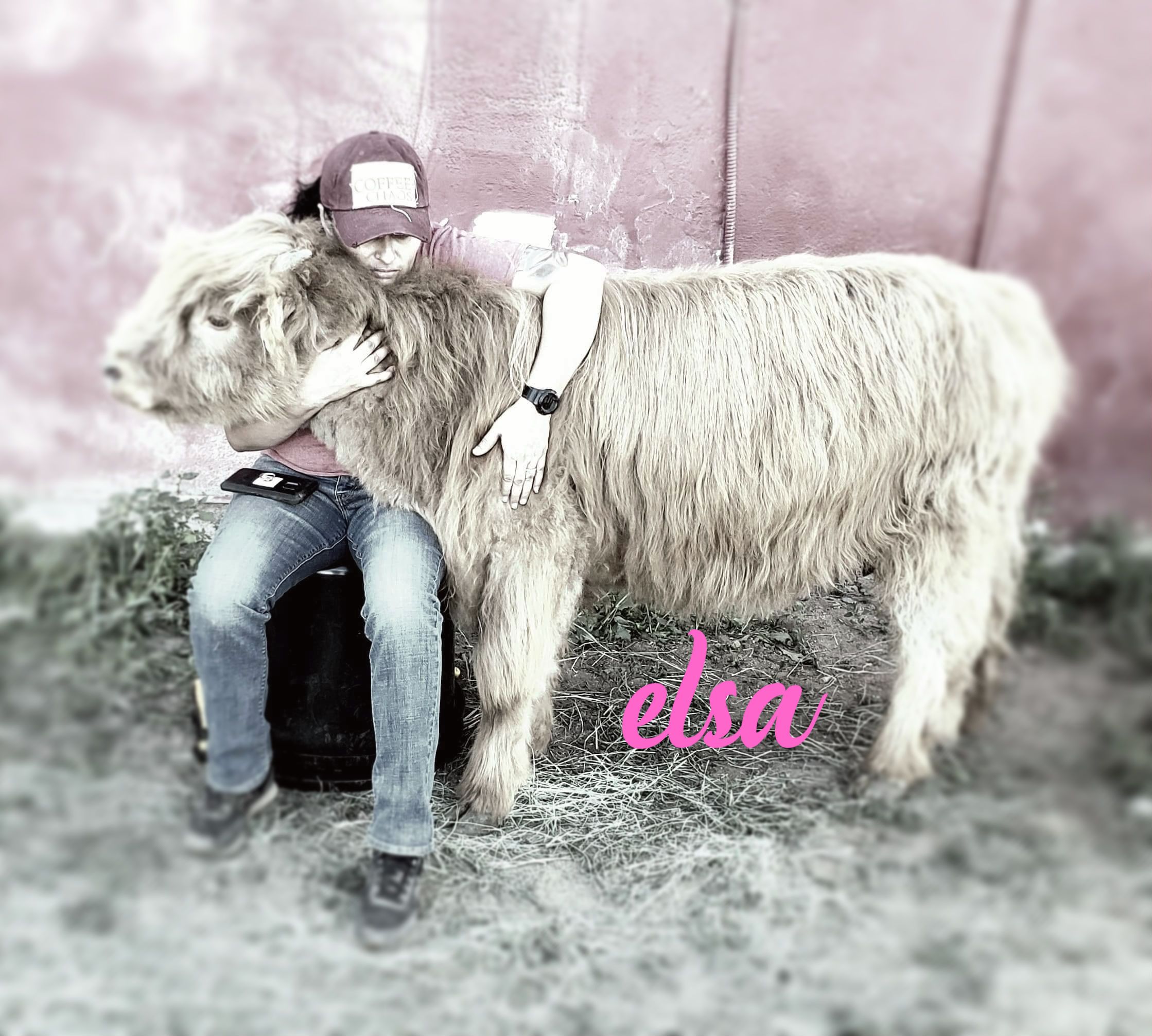 Barites Veteran Ranch