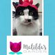 Matildas Garden Cat Rescue