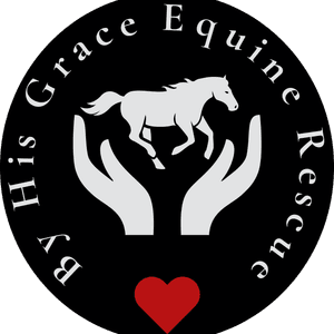 By His Grace Equine Rescue