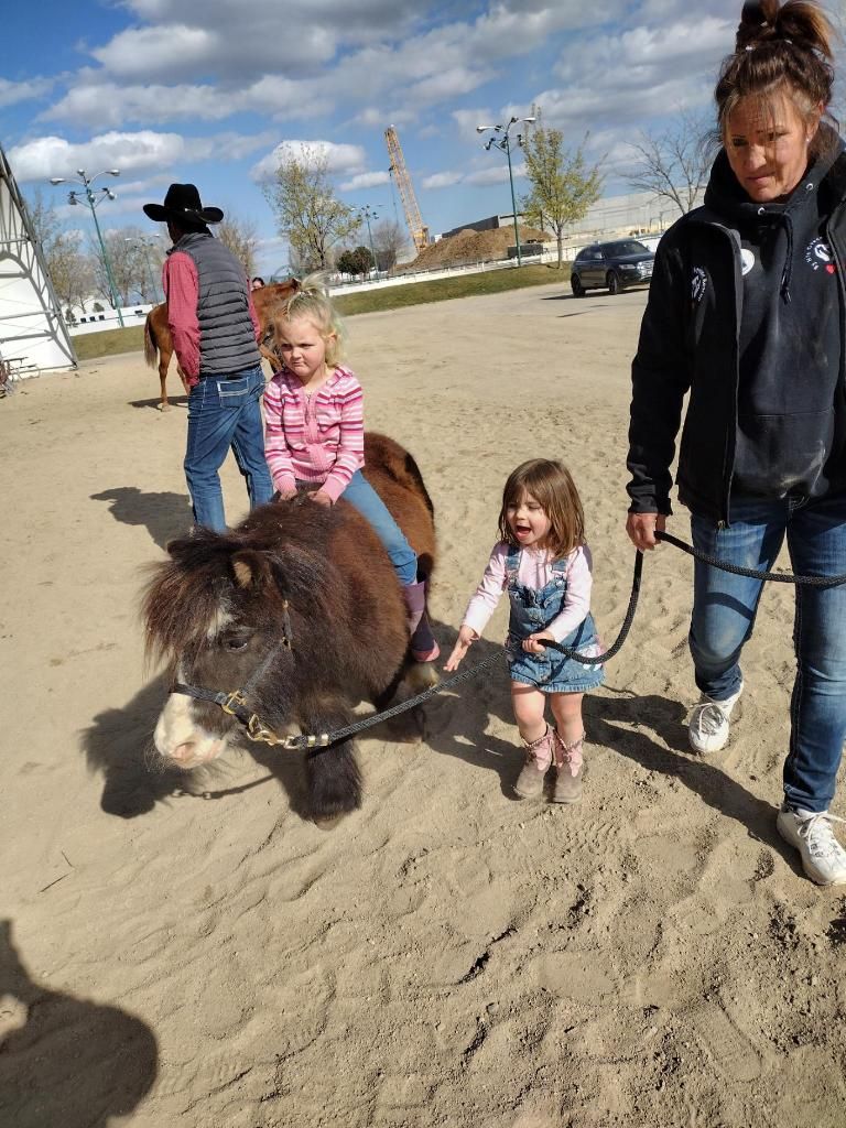 By His Grace Equine Rescue