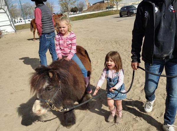 By His Grace Equine Rescue