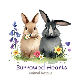 Burrowed Hearts Animal Rescue