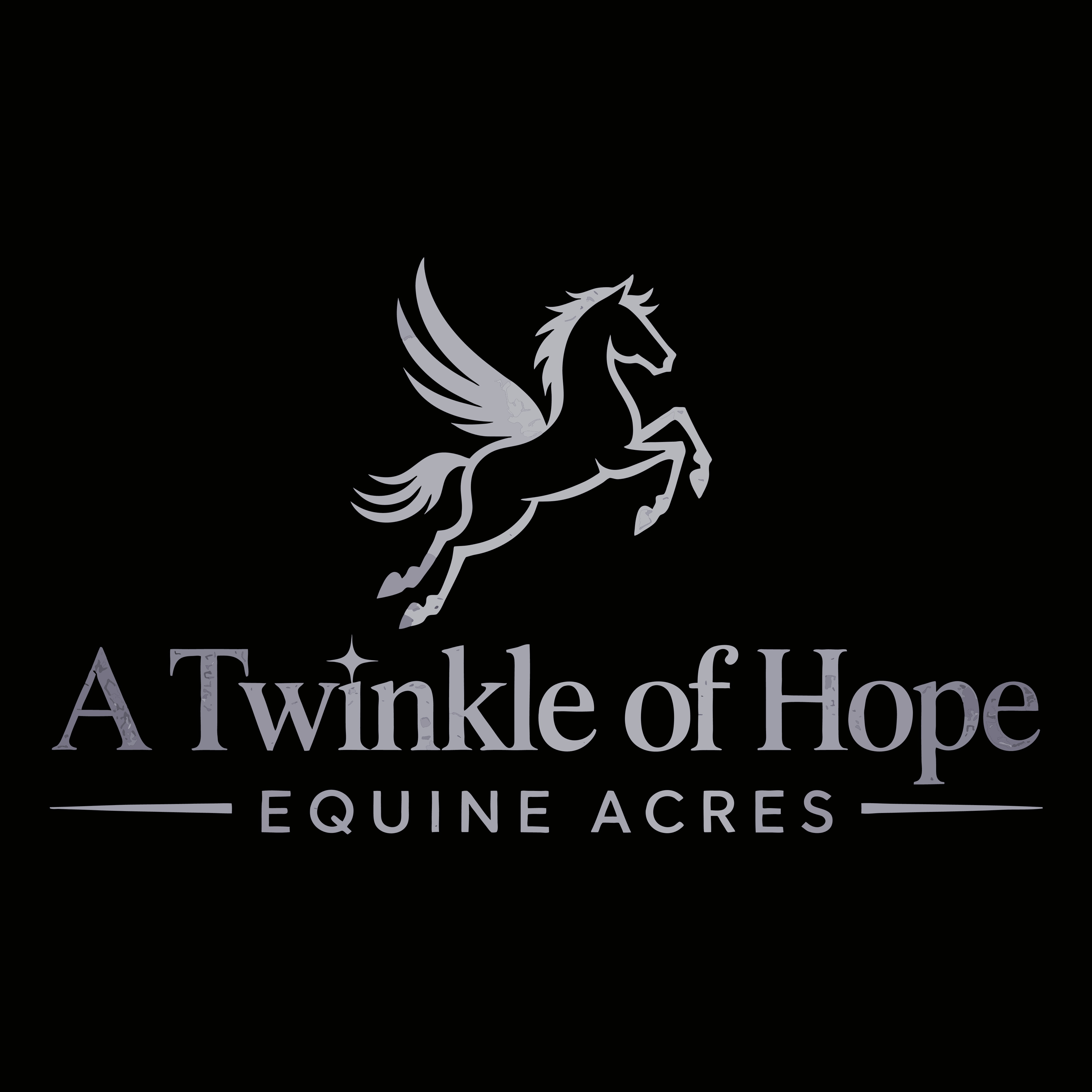 A Twinkle Of Hope Equine Acres